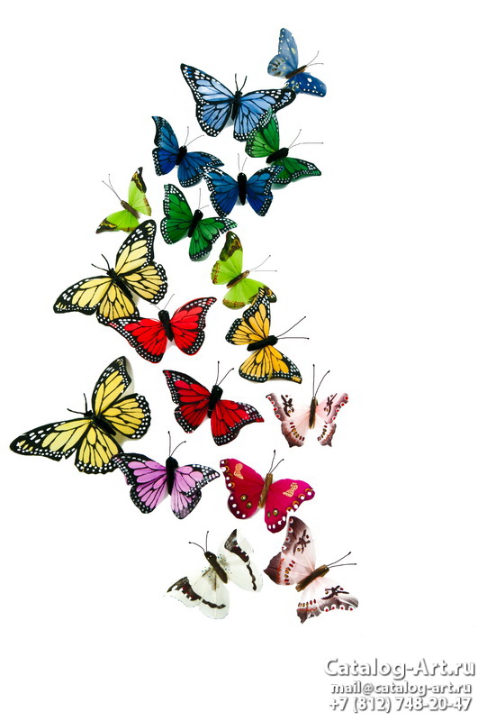  Butterflies 30